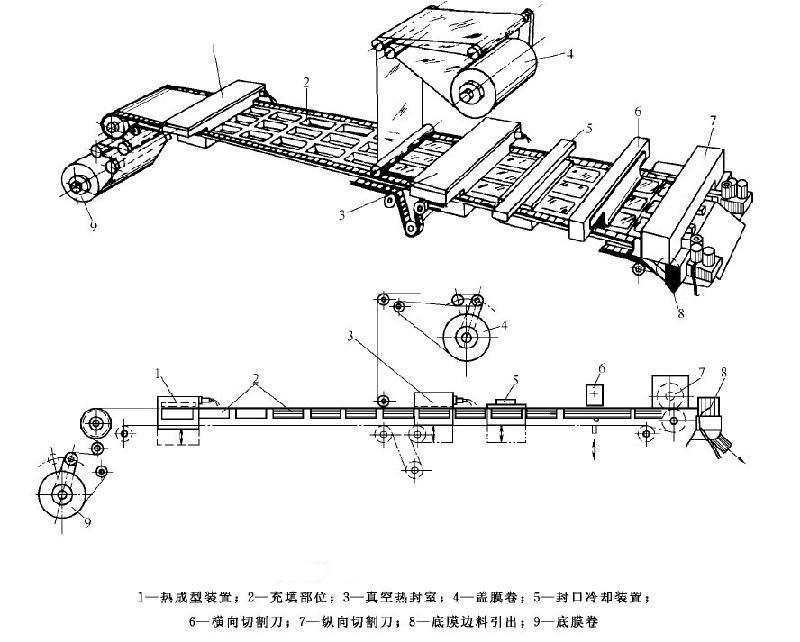 步進(jìn)式大容器熱成型包裝機